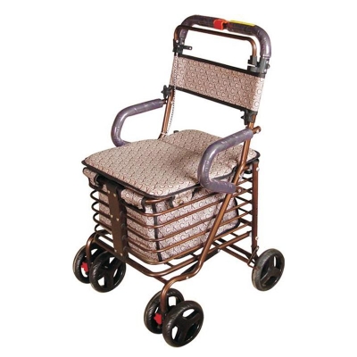 Senior shopping cart ZC-Z09